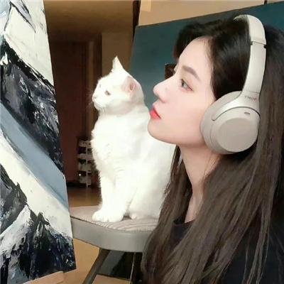 双妻艳史